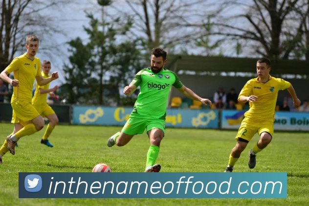 企业概况
